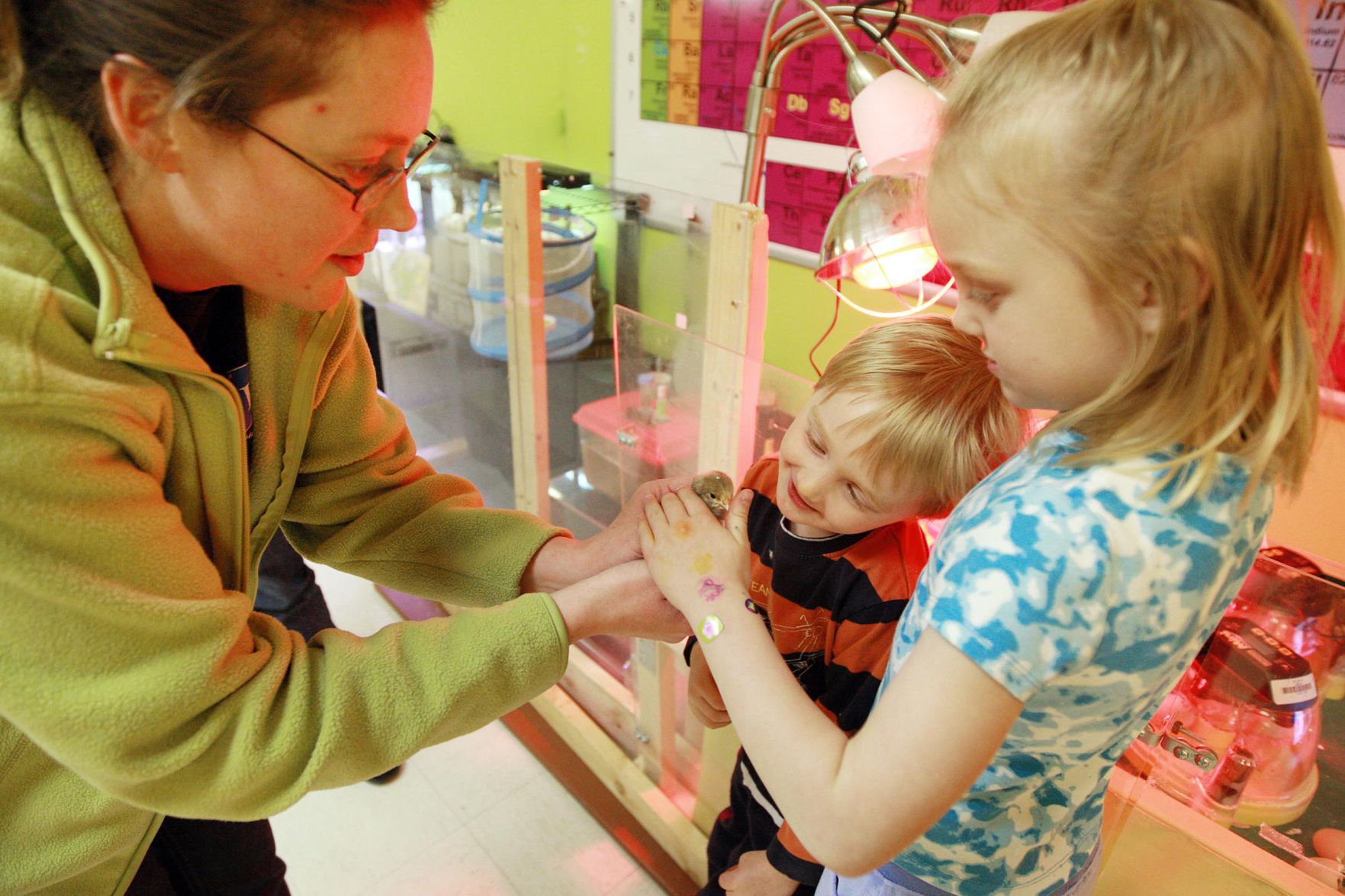 The Science Zone